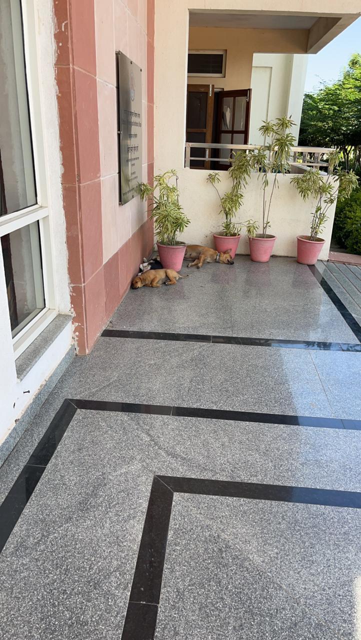 SPA Bhopal General photo 1